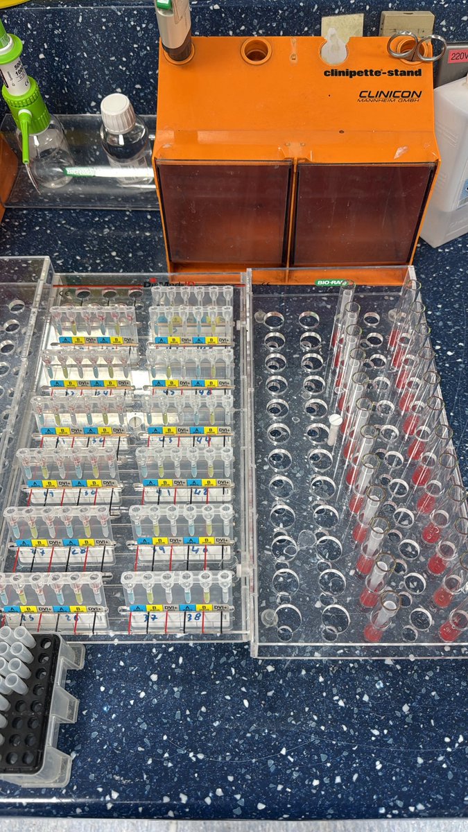 Mashaan Al-Otaibi tweet media