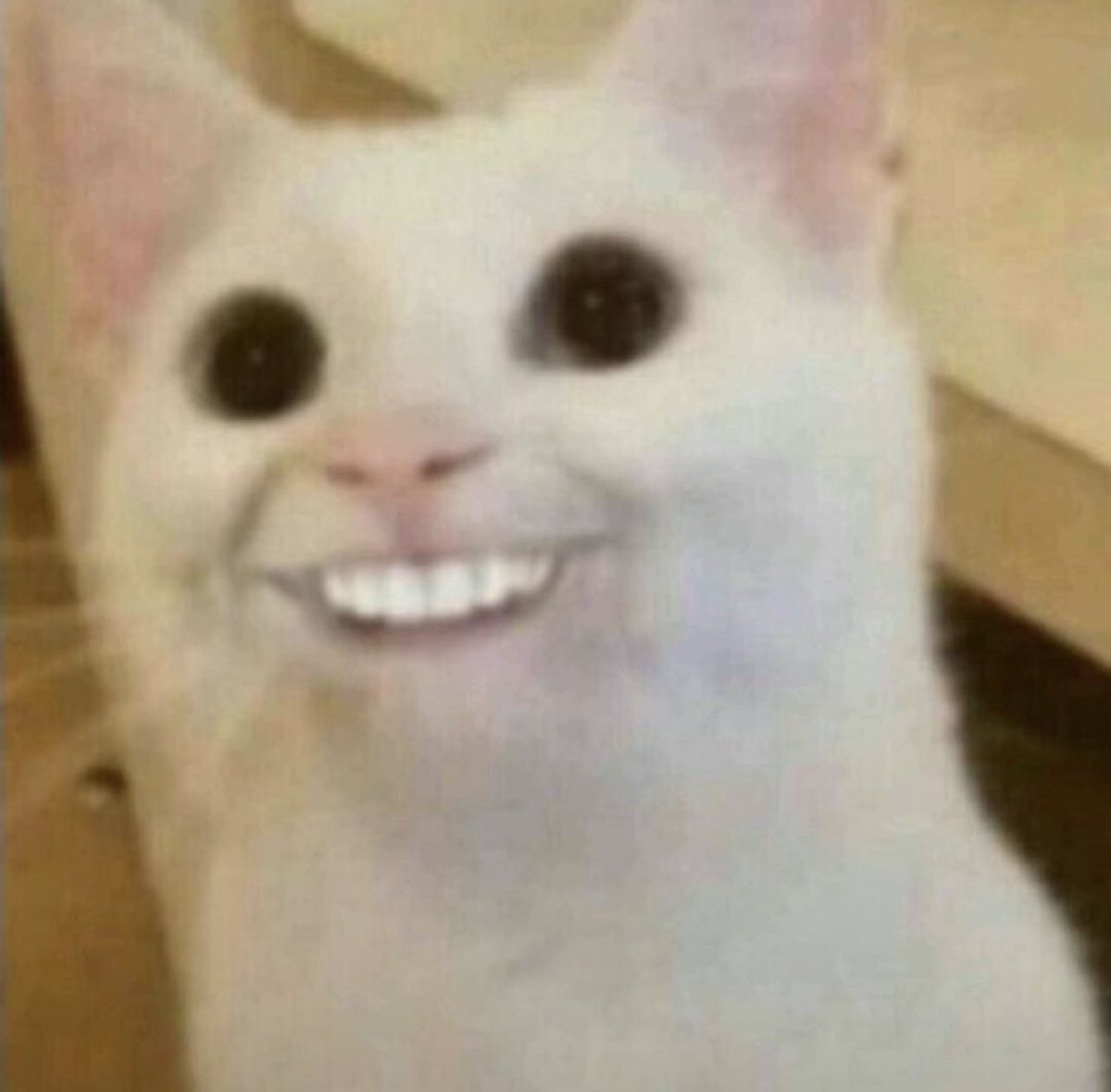 Ambar✨ tweet media