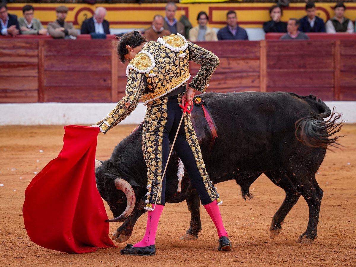 1️⃣ ¡𝗗𝗢𝗦 𝗢𝗥𝗘𝗝𝗔𝗦ⵑ

Roca Rey impuso su poder desde el inicio en una faena de mando y cercanía; el animal tuvo la suerte de caer en manos de un torero de su dimensión

Estocada fulminante y dos orejas con petición de rabo