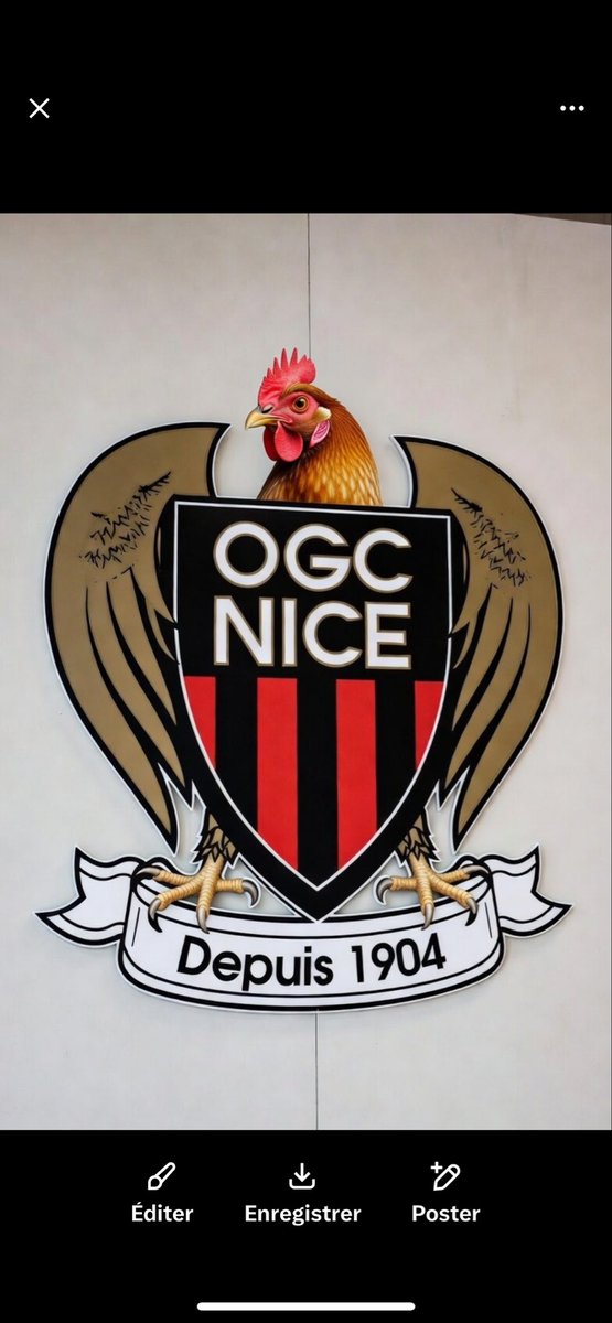 SRFC-FR🇫🇷 tweet media