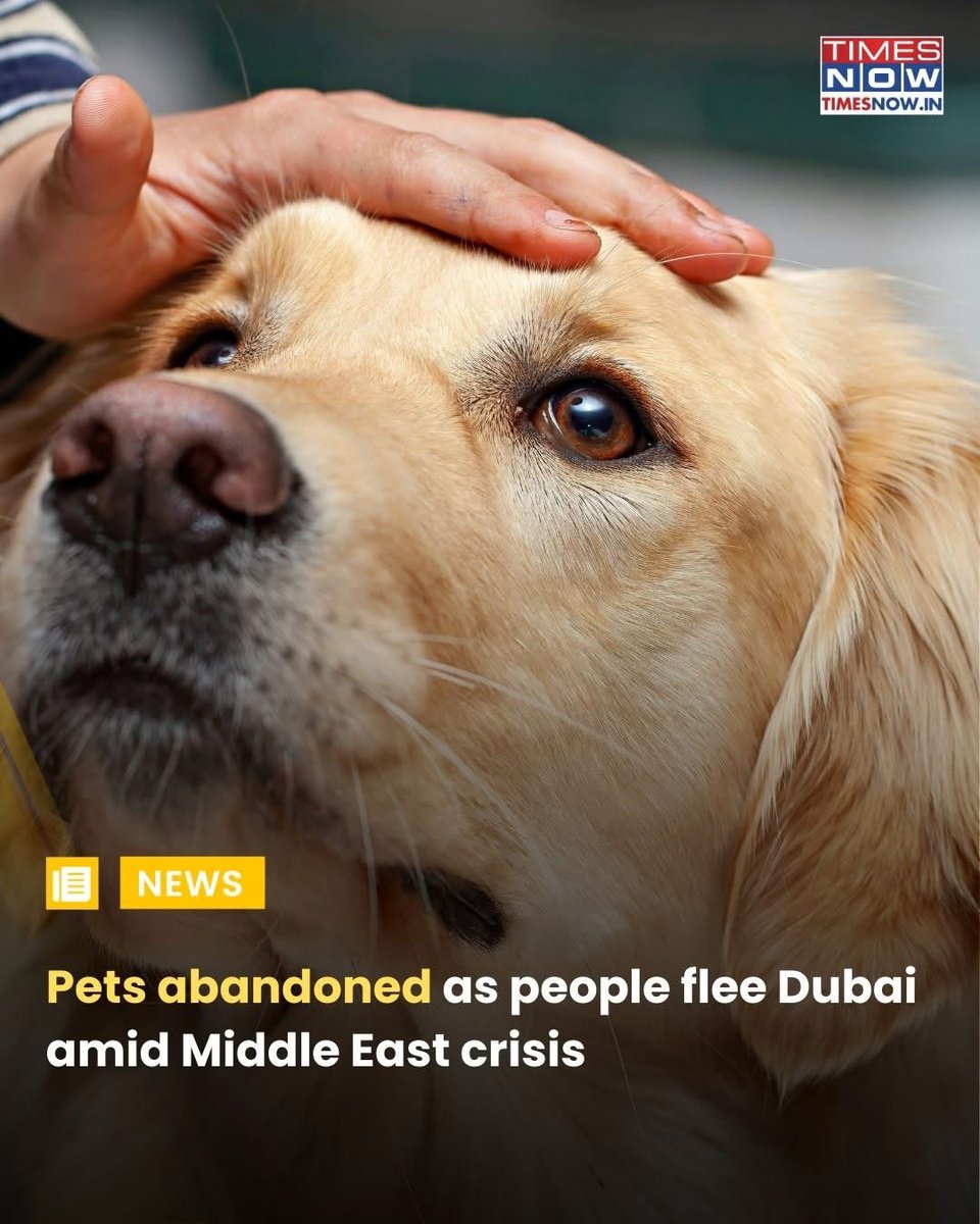 Amid the escalating Middle East crisis, reports suggest that people are abandoning their pets while fleeing parts of the UAE after Iranian drone strikes targeted areas in Dubai. Many people were seen leaving the city, and some have reportedly left their pets outside animal