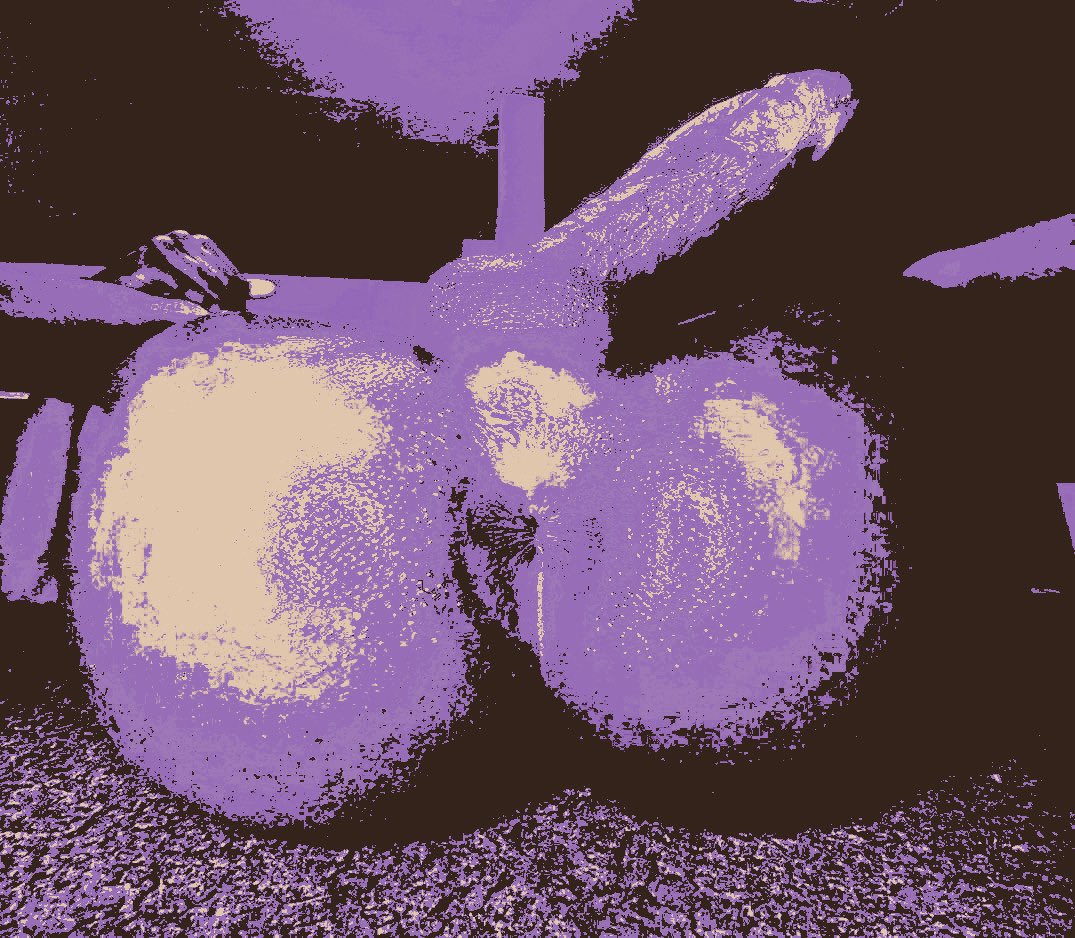 ⋆.ೃ࿔*:･ 𝒥𝚄𝙽𝙾 —- .ᐟ tweet media