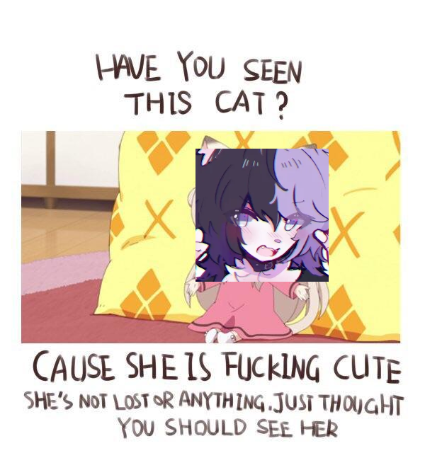 mini 🌸 tweet media