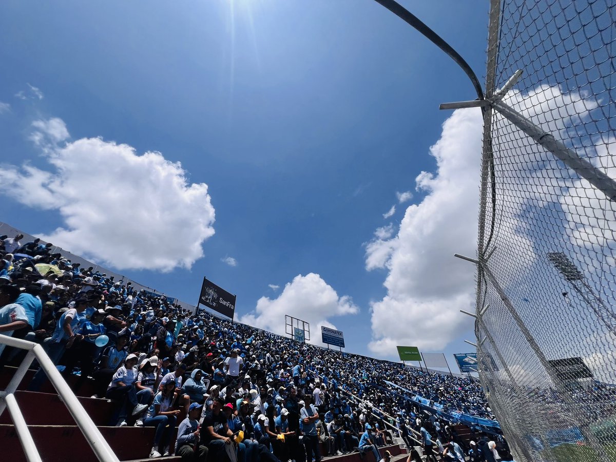 Edison nando lem tweet media