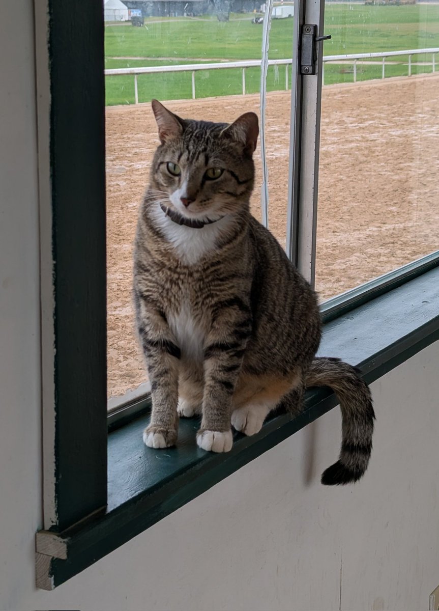 Robert Yates tweet media