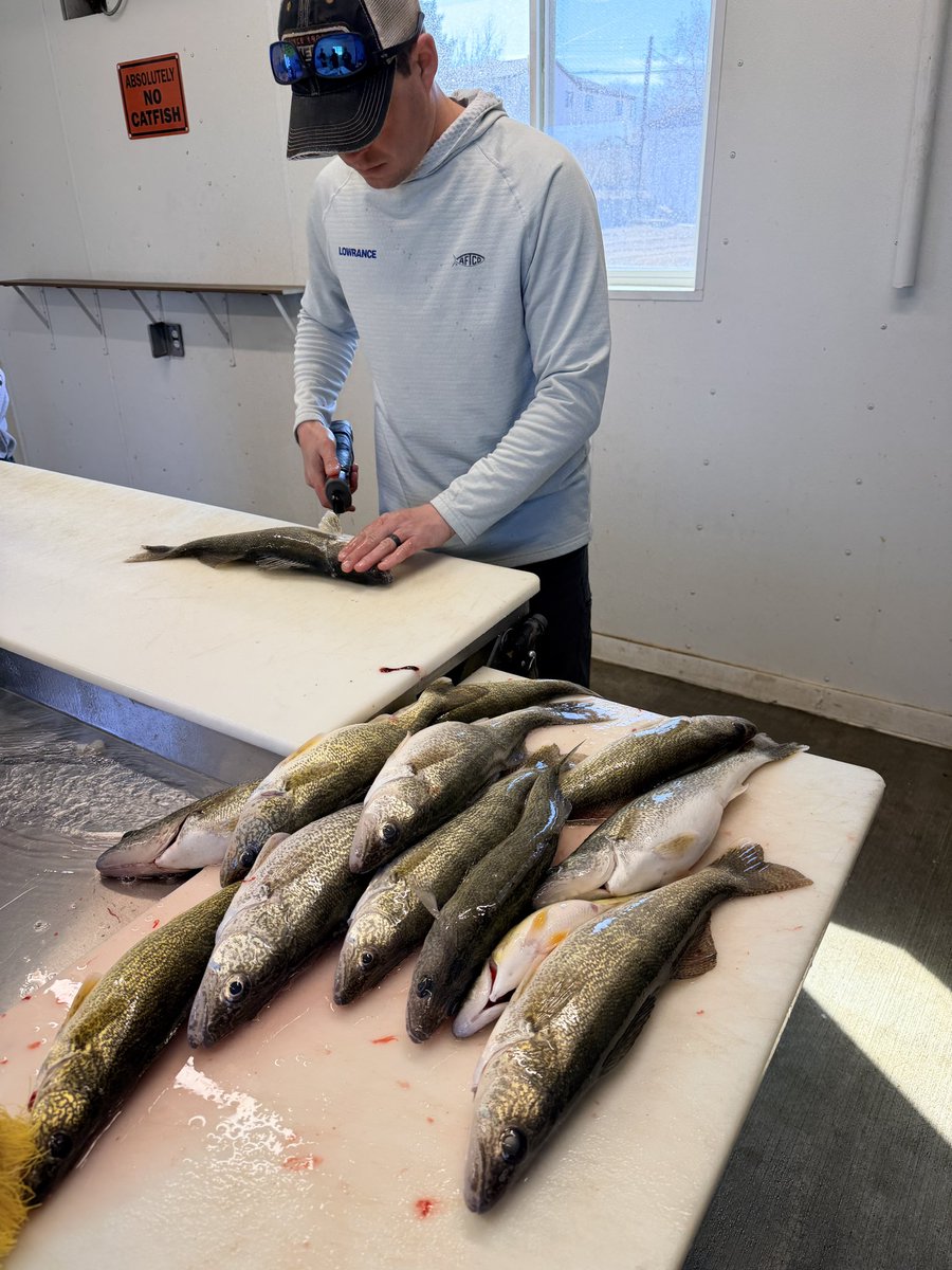 C.M. Loofe, Ed. D tweet media