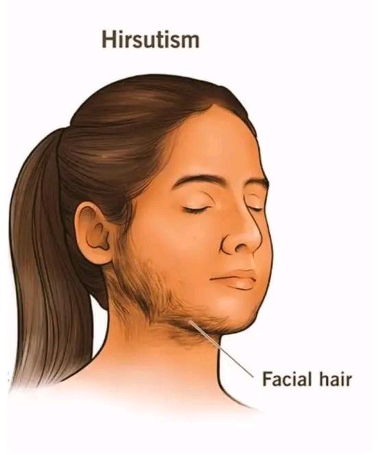 Abdulhamid tweet media