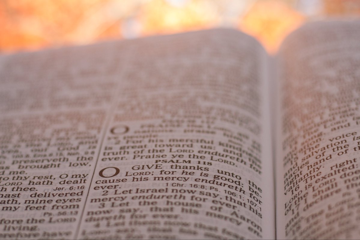 Adam | Faithful Messenger tweet media