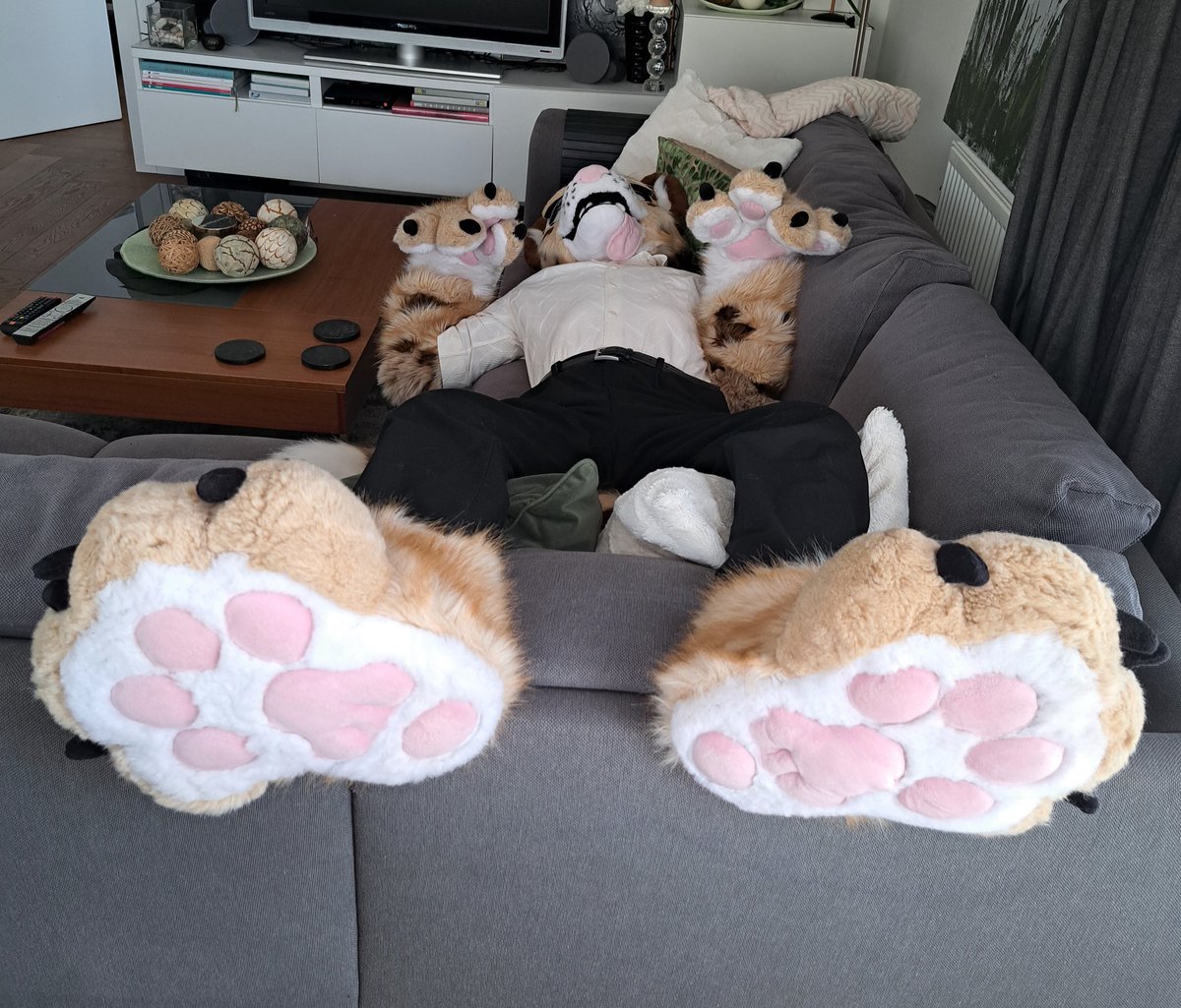 Quercu💜🐆📷🌱🐾 tweet media