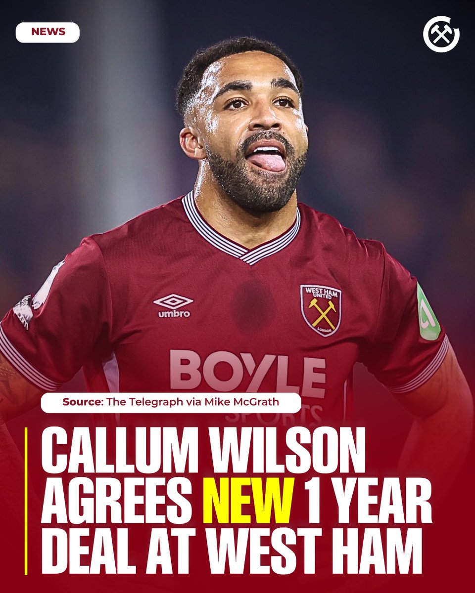 Hammer Bytes tweet media