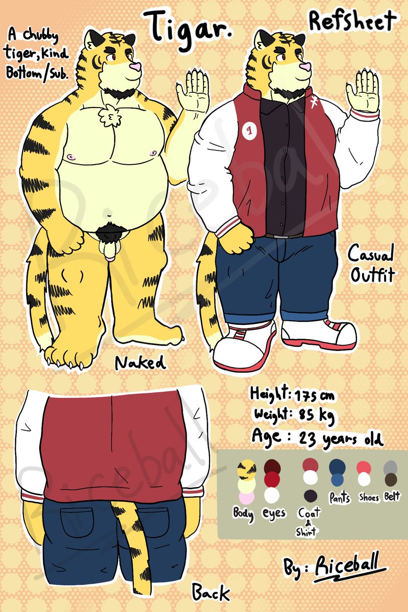Tiger Tiger Riceball🐯🍙 tweet media