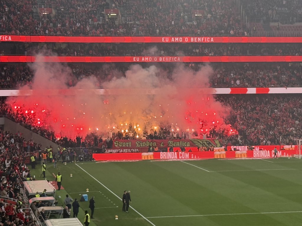 plusbenfica's tweet photo. Enormes Diabos ❤️💛 https://t.co/oXJl8FBrCN