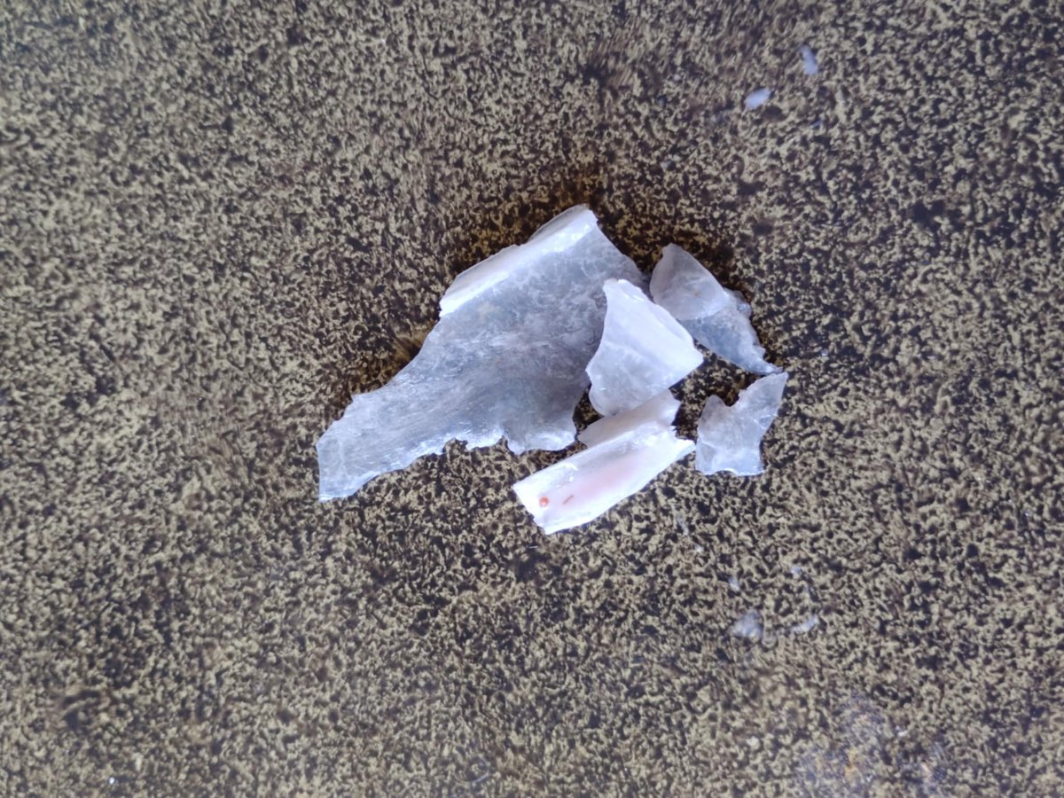 Derek Ayala tweet media