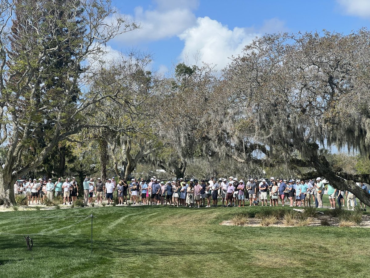 Jade Gummer tweet media