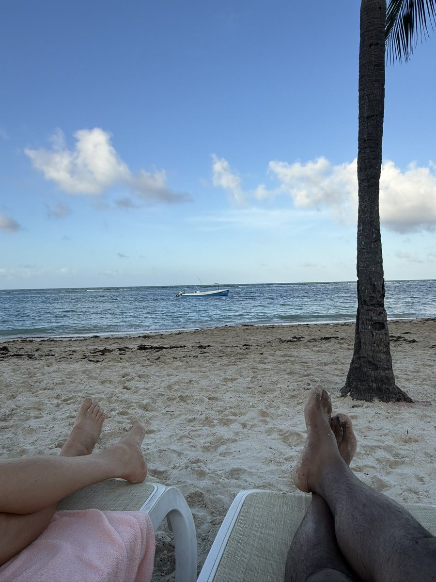 Stacey Harkey tweet media