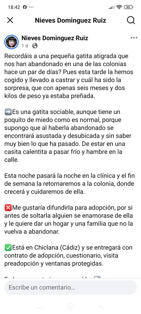 María Viñuela del Jeso tweet media