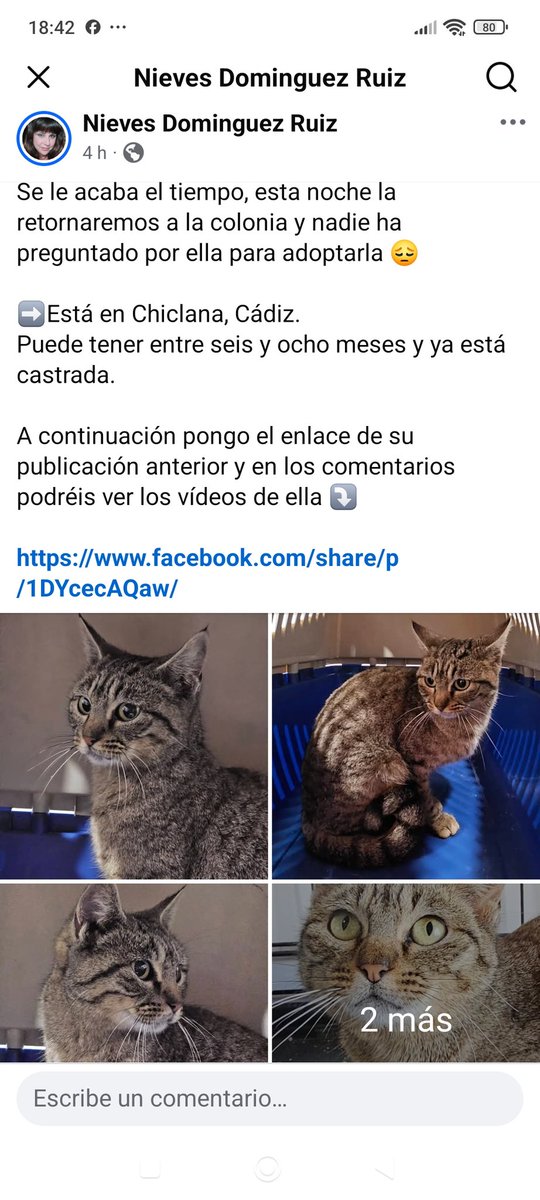 María Viñuela del Jeso tweet media