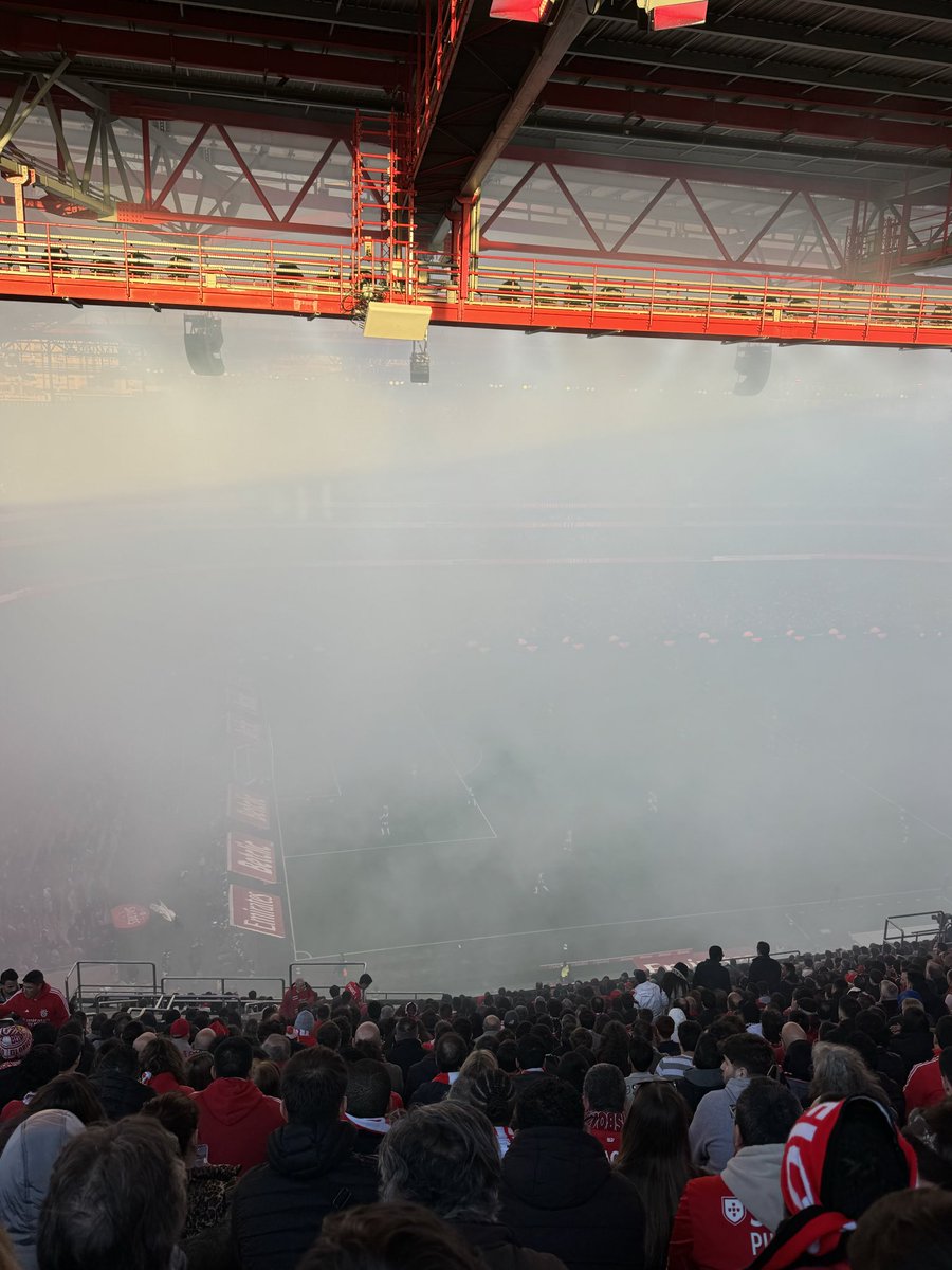 a wild D. Sebastião appeared