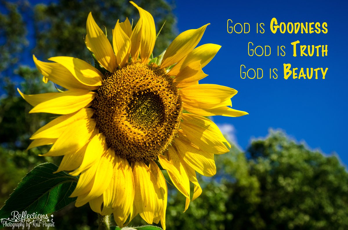 KrisNewEngland's tweet photo. Indeed. God is everything. God is every thing. He is Being Itself. #GodisGood #GodisTruth #GodisBeauty #GodisEverything #GodisBeing #IAM #TheGreatIAm #faith
#ReflectionsbyKris https://t.co/378bOhFCsI
