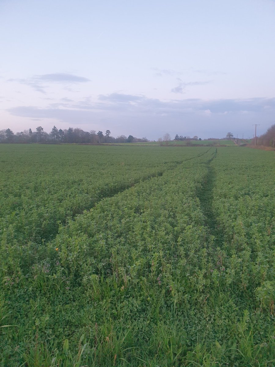 aubry pascal tweet media