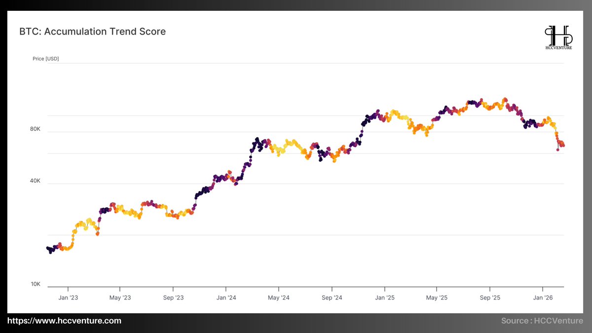 Hold Coin CVenture tweet media