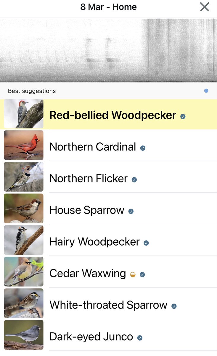 Rebuild@STL tweet media