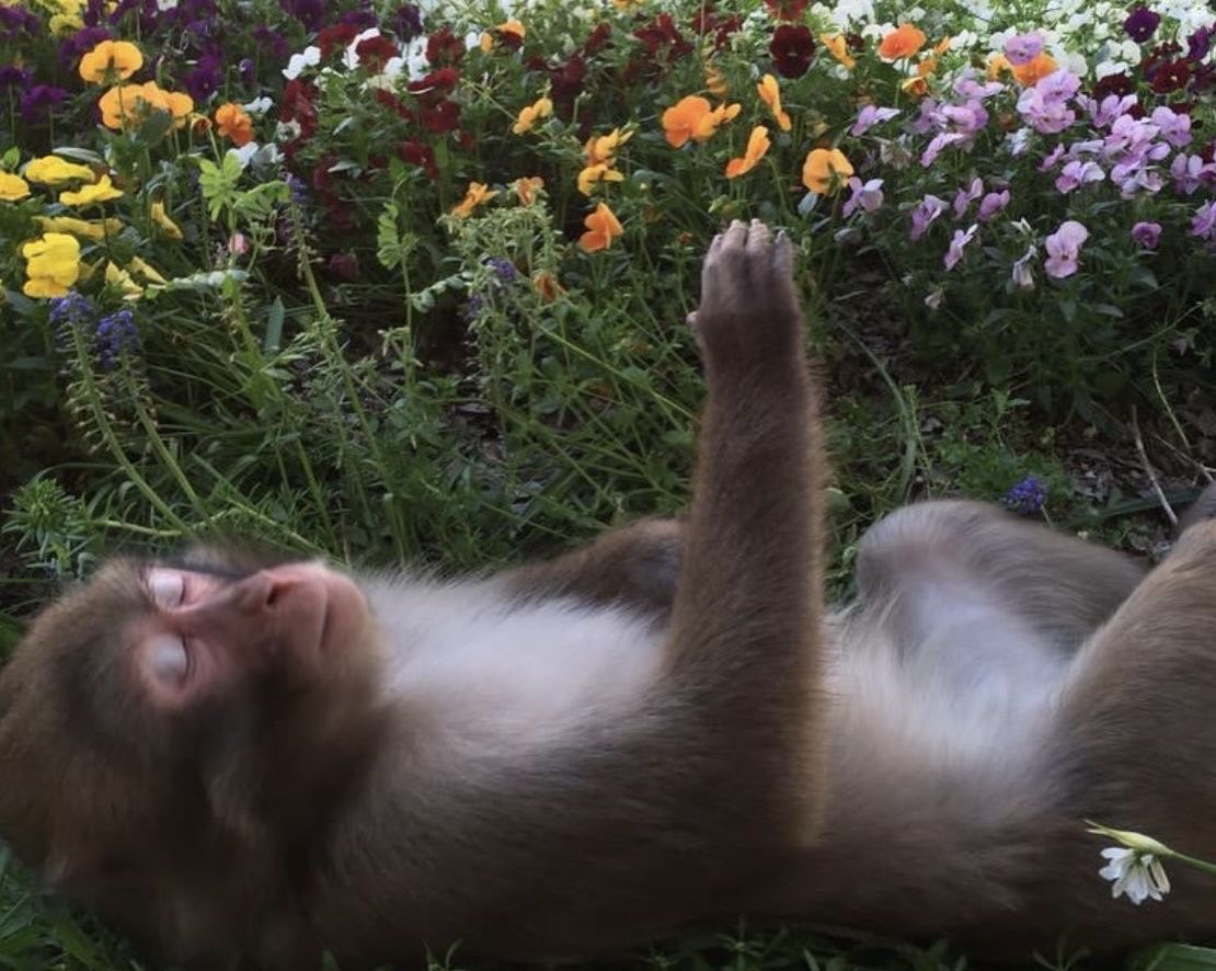 madurar es darse cuenta de que la mejor venganza no es ninguna. llorar con el alma, sanar, seguir adelante, pero nunca convertirte en alguien como quienes te lastimaron