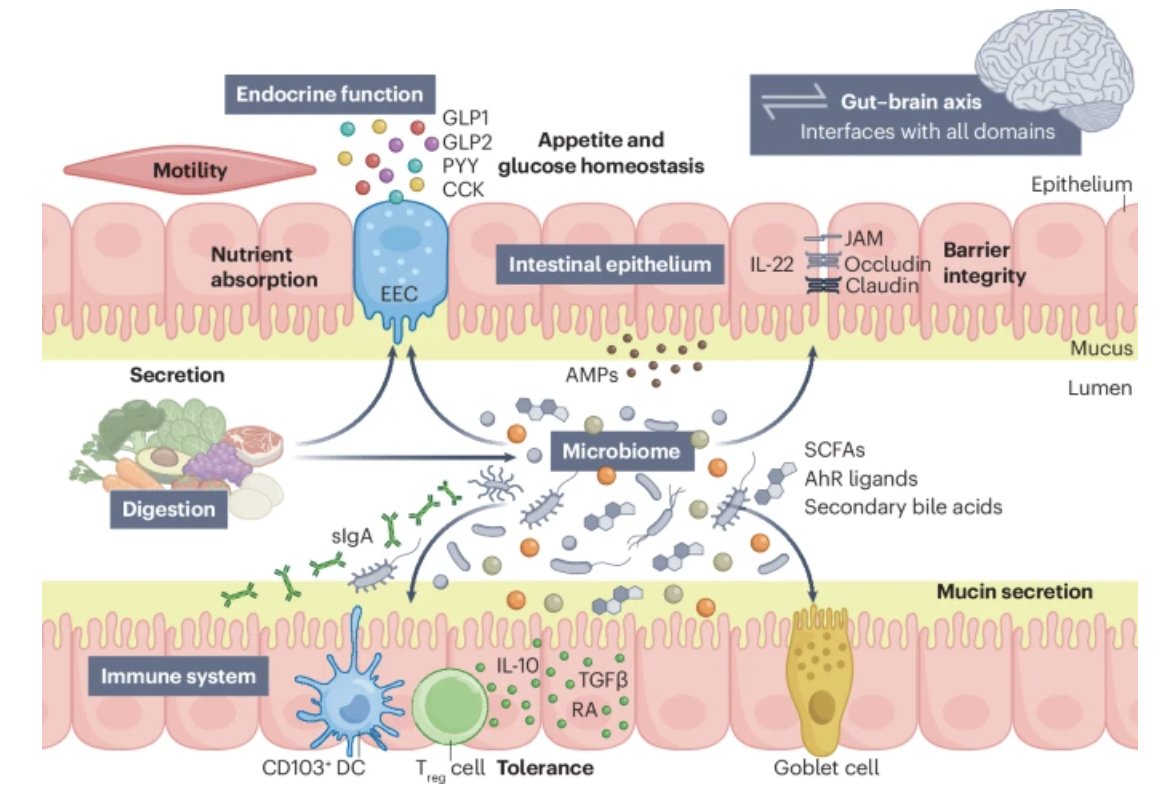 GI Nutrition Foundation tweet media