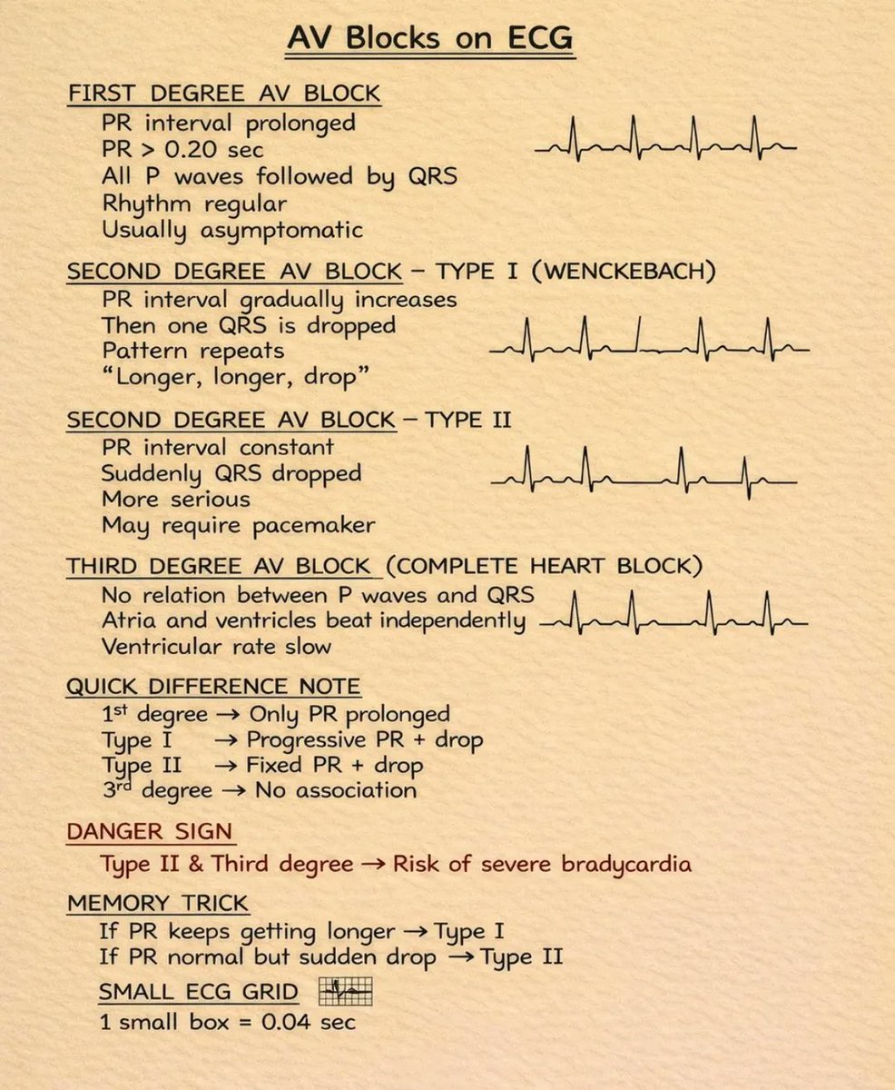 AbdAllah Othman tweet media