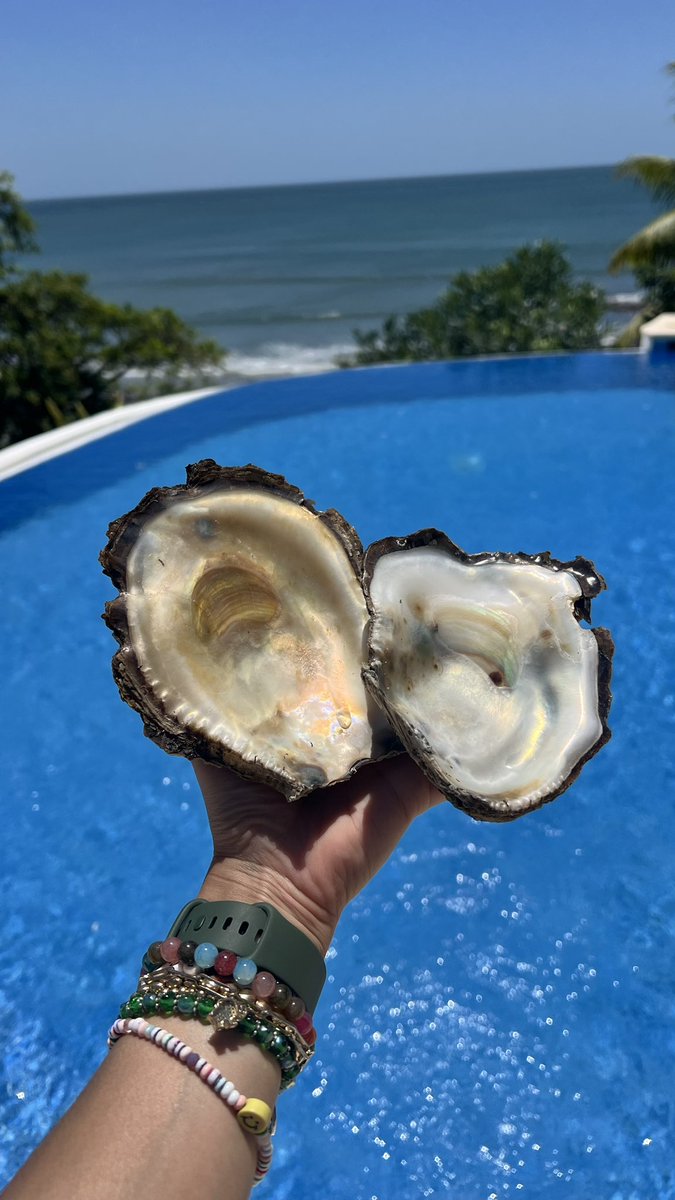 Ximena Fernández D. tweet media