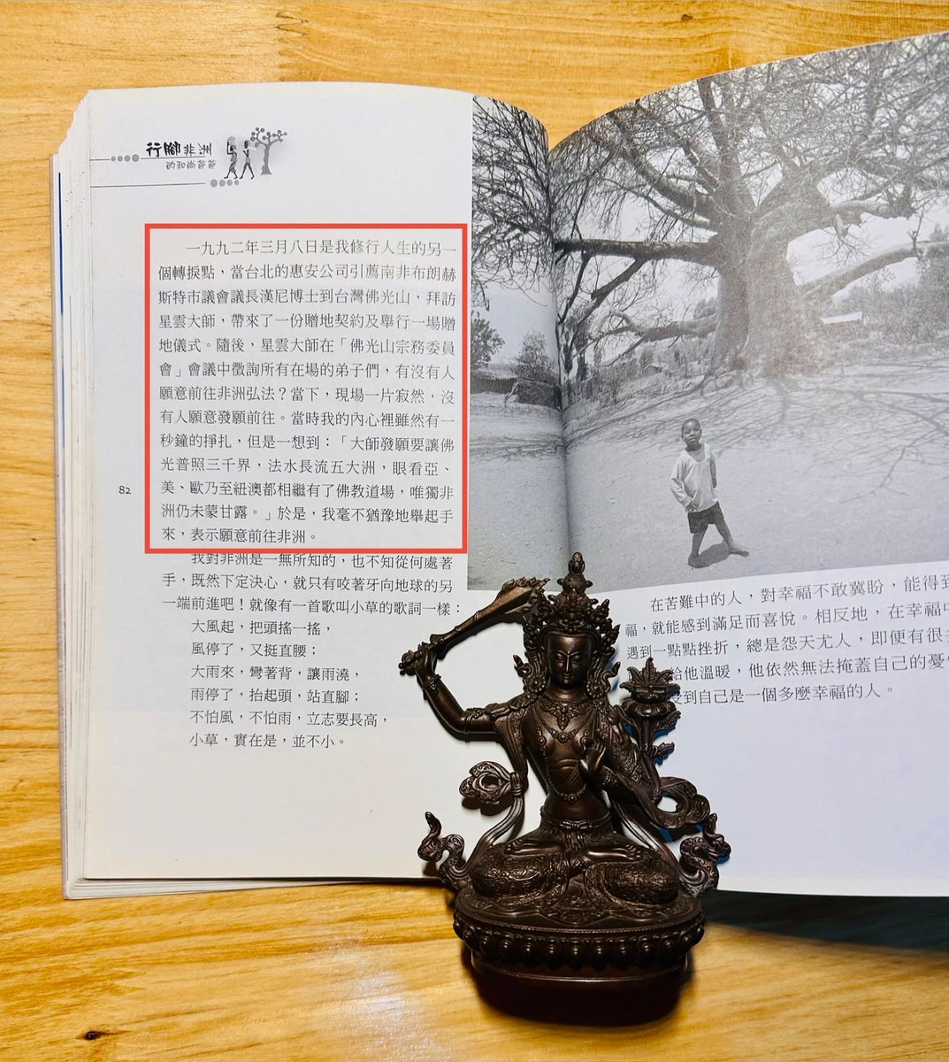 Samtan Dolma 桑丹卓瑪 བསམ་གཏན་སྒྲོལ་མ། tweet media