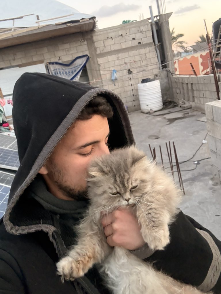 SHARIF 𓂆 tweet media