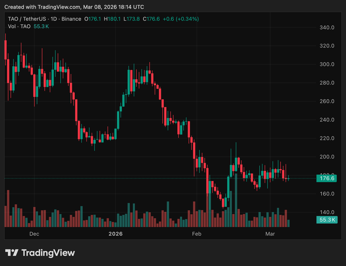 _olaige's tweet photo. Bittensor $TAO looks ready for its first major rally in 2026.

This is not financial advice ‼️ https://t.co/Q2Vamapzv4