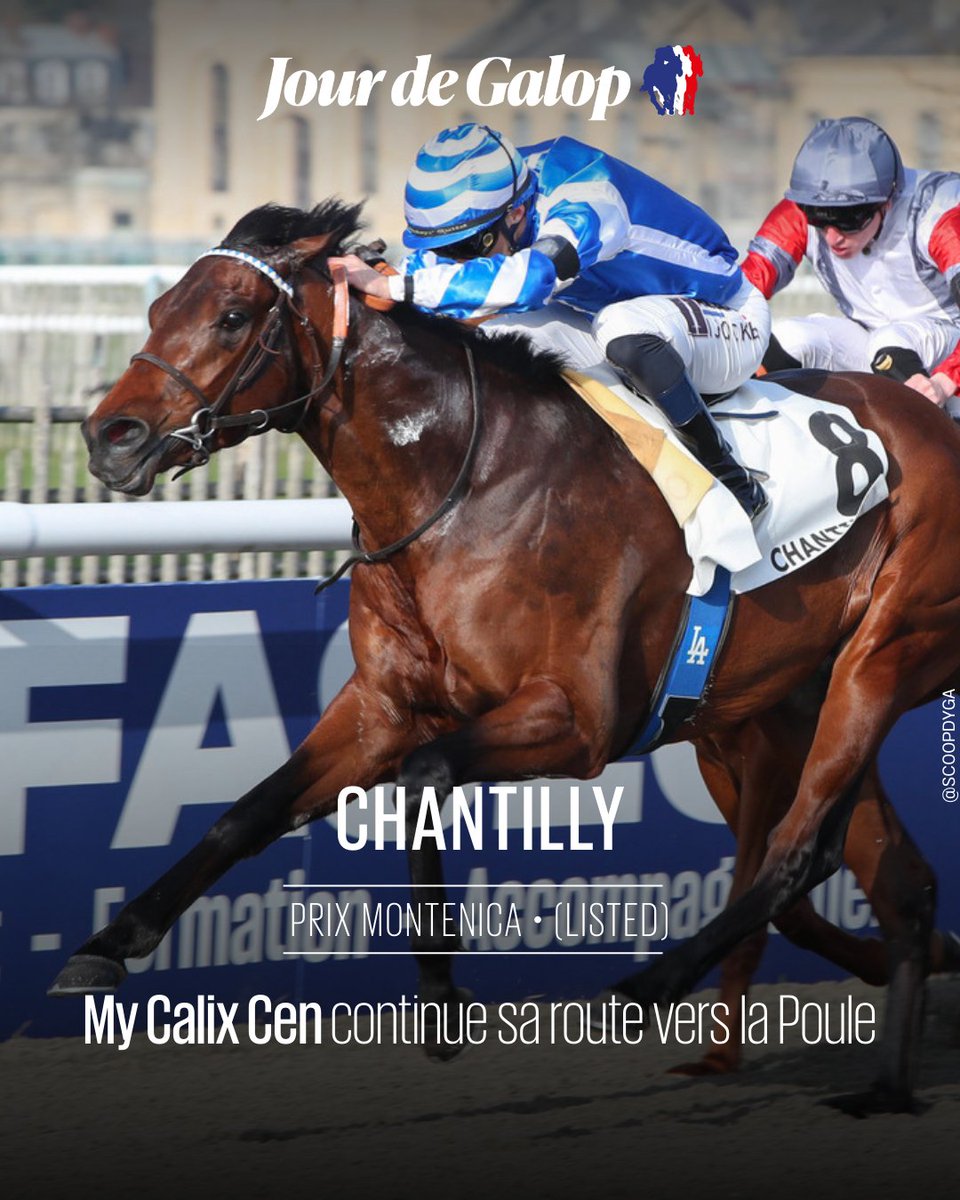 ⭕ #Chantilly – Prix Montenica (L)

My Calyx Cen (Calyx) franchit un cap en remportant son premier succès black type. Vite en tête, il repart sous les attaques pour dominer No Tune et offre à P. Olave Valdivielso sa première victoire black type en France
👉jourdegalop.com