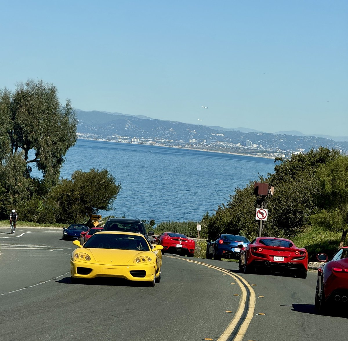 Andrew Petrella tweet media