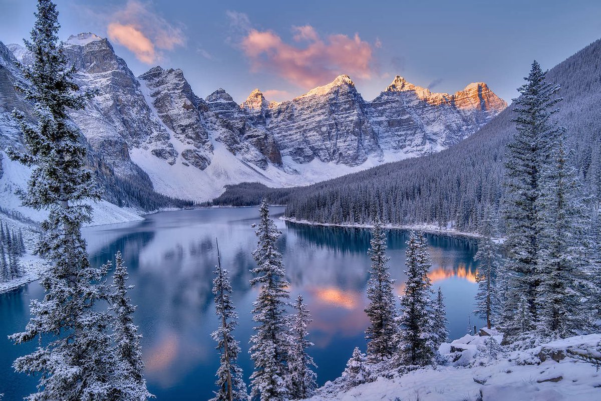 Jovenes primarcas/Dovahkiin tweet media