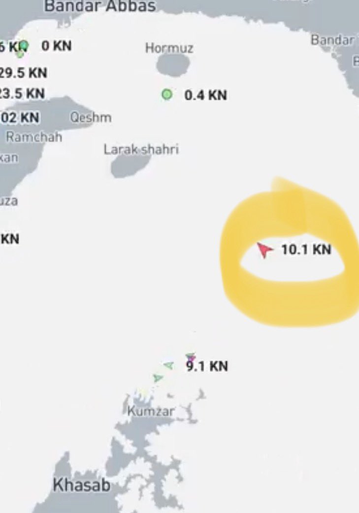 Boar On The Shale Floor tweet media