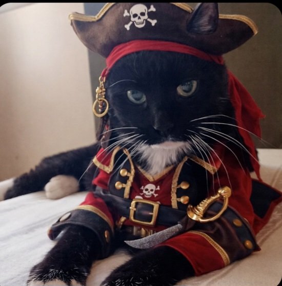 🌊PERSISTING ₩ITH RESISTING tweet media