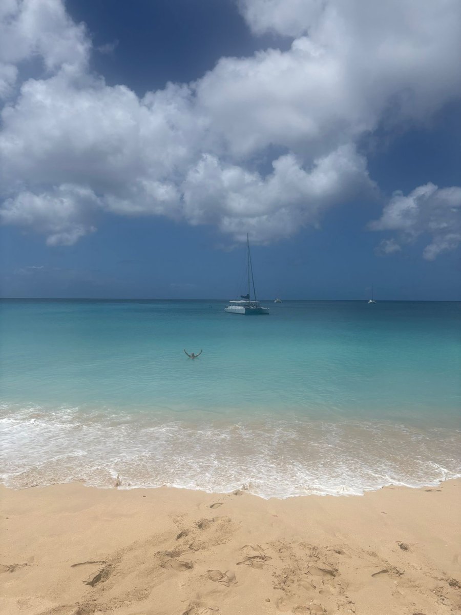 Paul Arthurs. tweet media