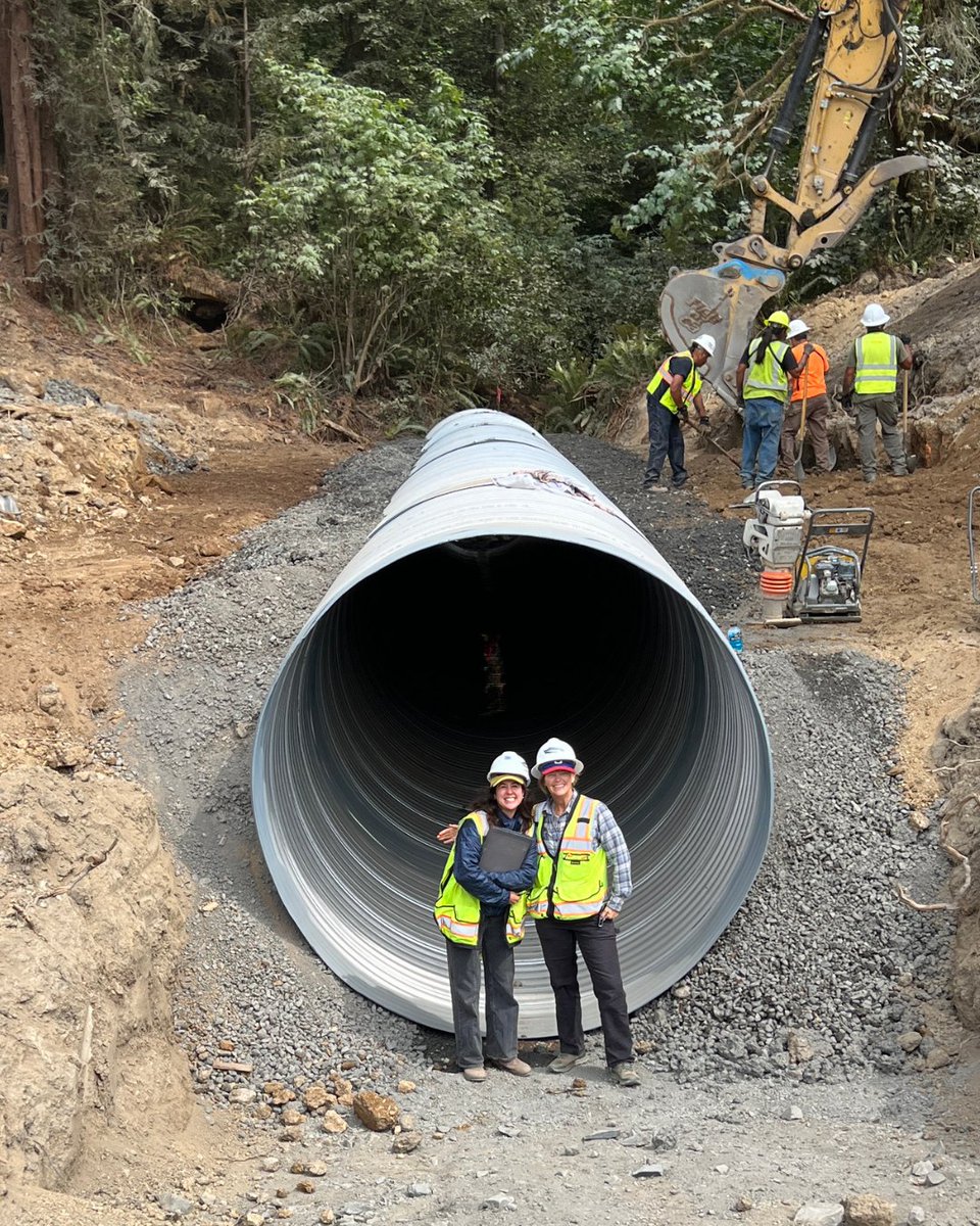 California Trout tweet media