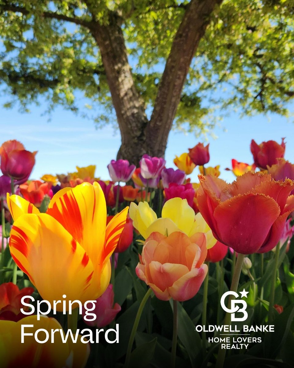CBHomeLovers's tweet photo. Don't forget to spring your clocks forward! Now that you've gained an hour of daylight, use that extra time to search for your perfect spring home. Let the sunshine begin! #DaylightSavingTime #SpringForward #MiamiHomeLovers #ColdwellBankerHomeLovers #ColdwellBanker https://t.co/DcrM57VWog