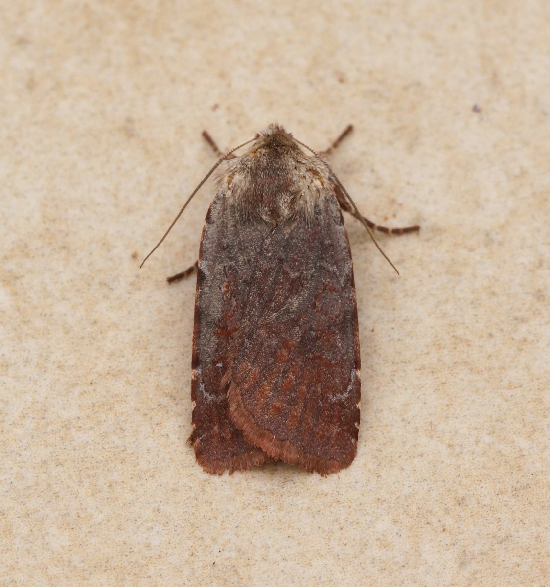 Ben Sale tweet media