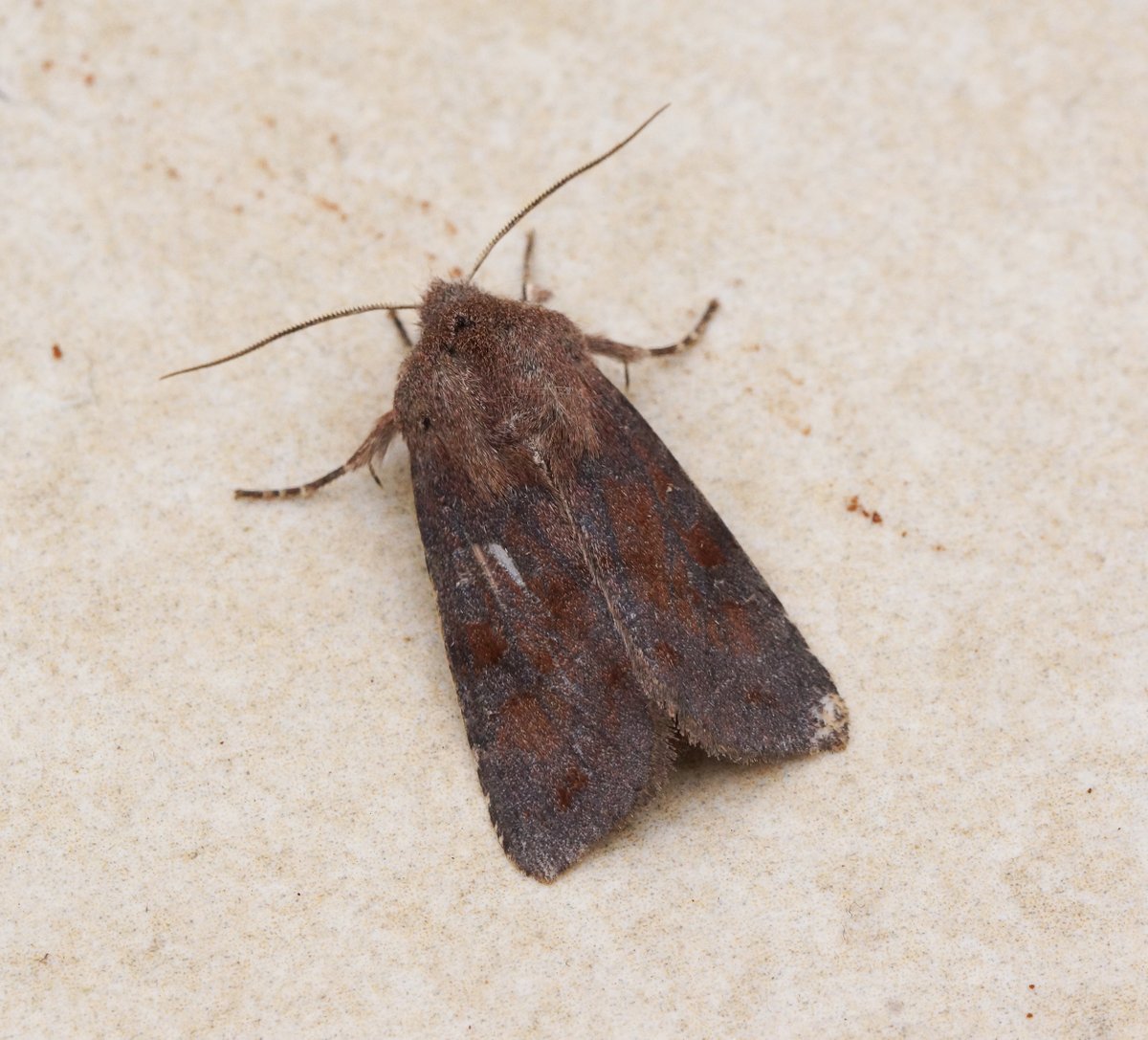 Ben Sale tweet media