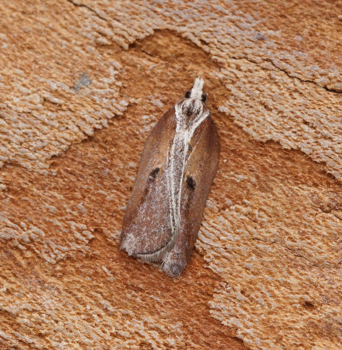 Ben Sale tweet media