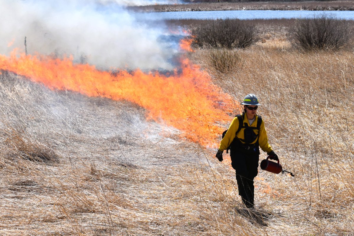 U.S. Wildland Fire Service tweet media