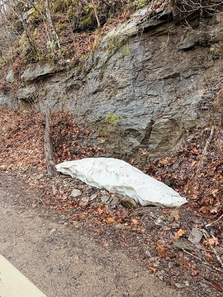 Todd Yakoubian tweet media