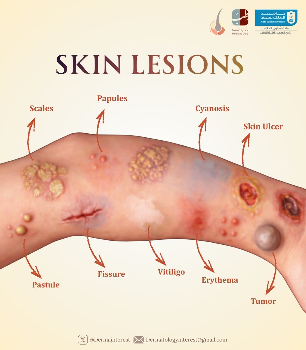 Dermatology Interest Group tweet media