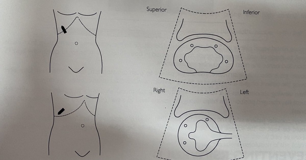 CardioMotorizado tweet media