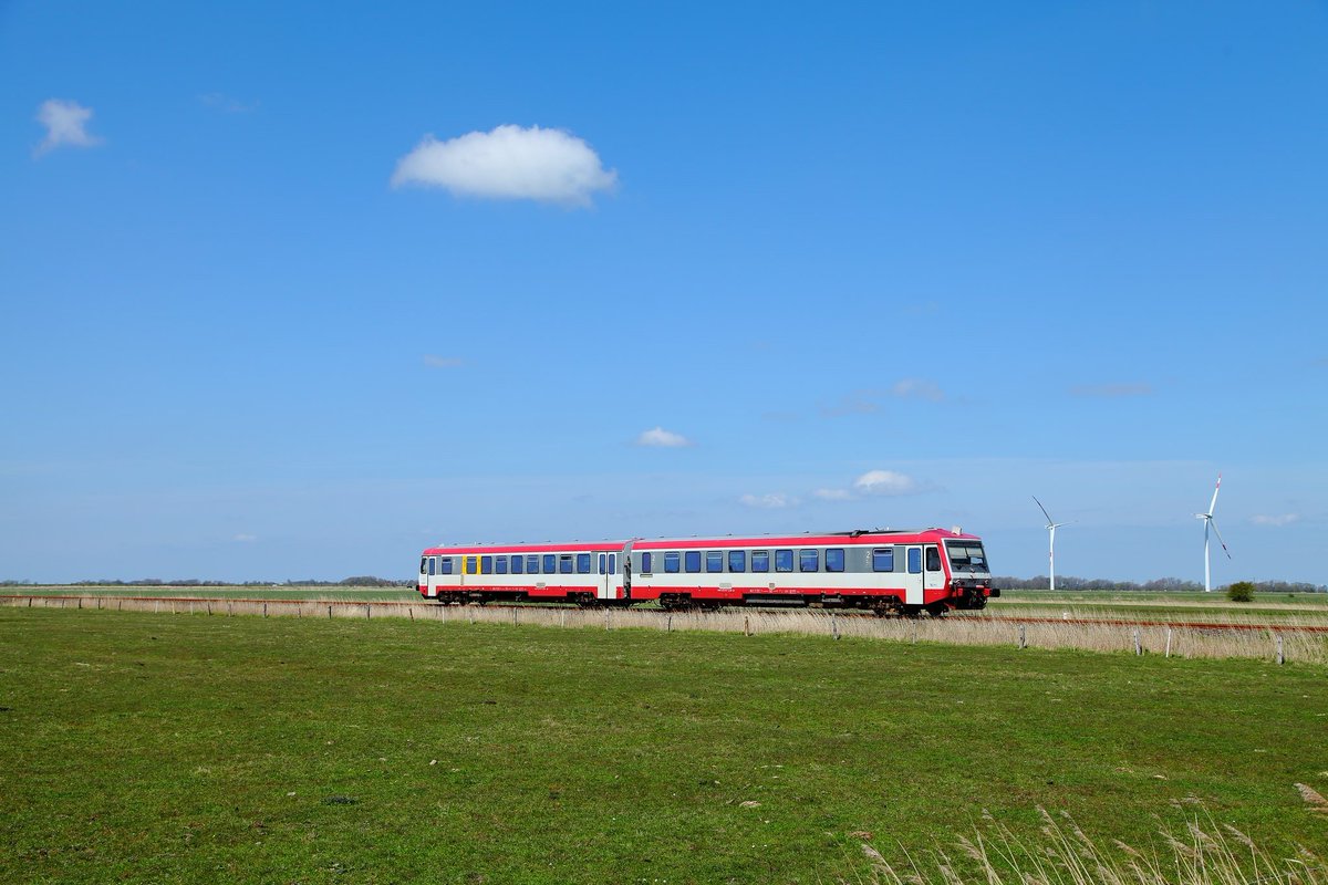 Chris 🦝 tweet media