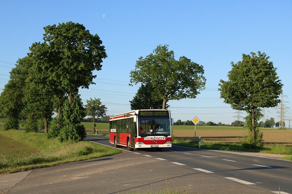 Chris 🦝 tweet media